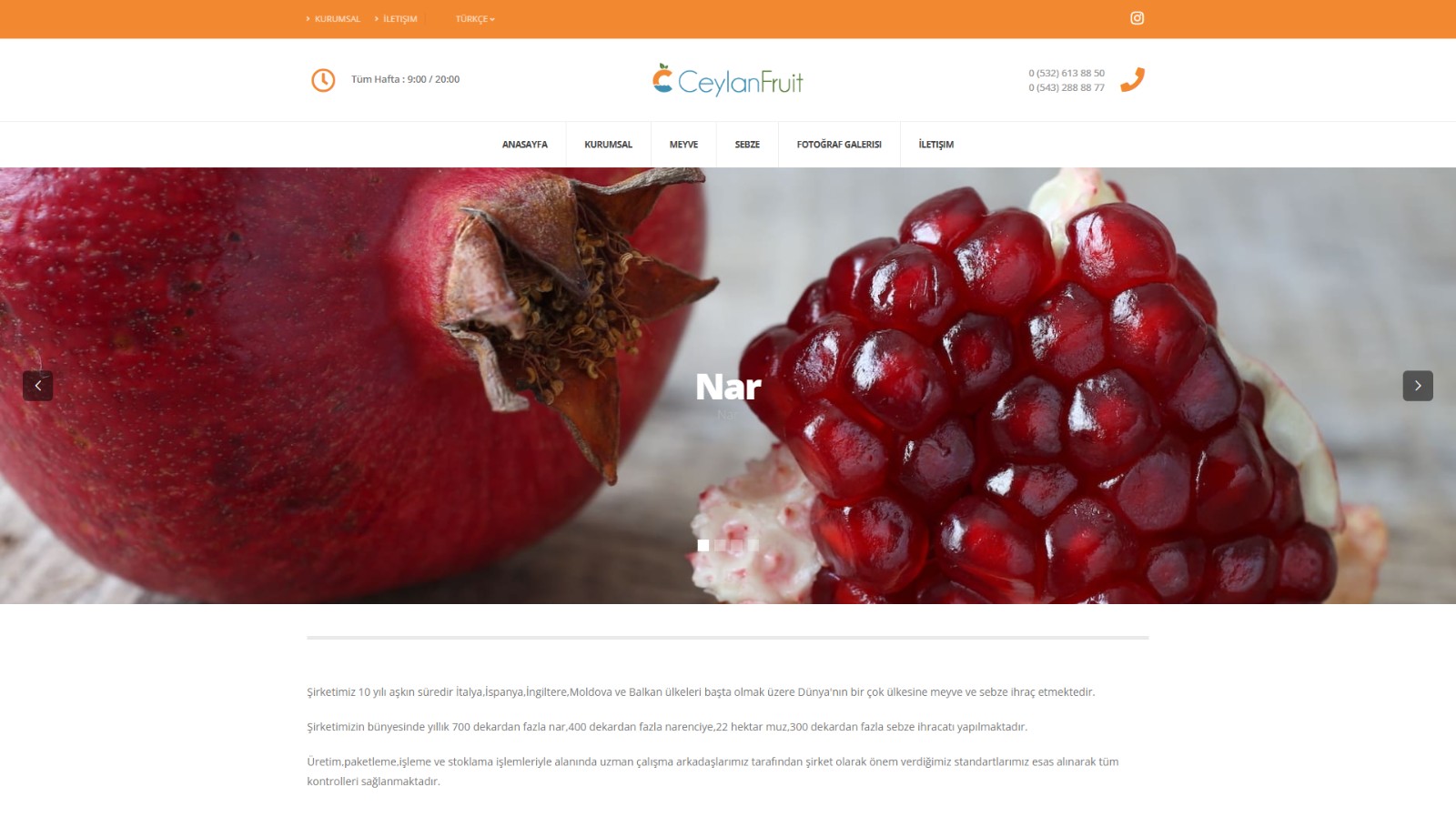 Ceylan Fruit