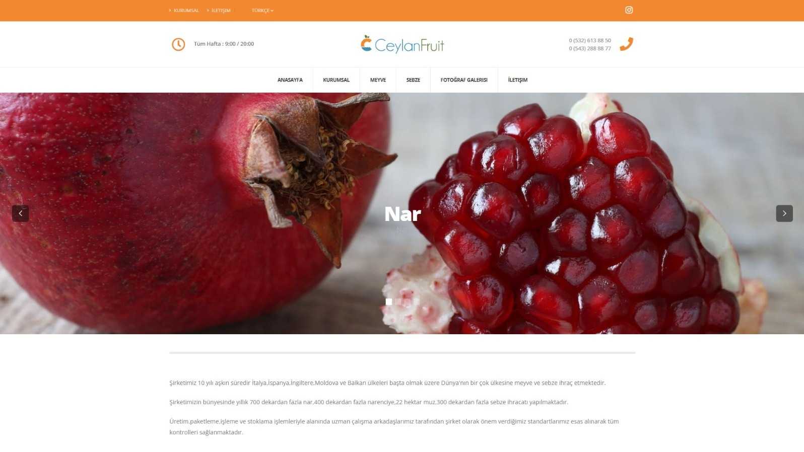 Ceylan Fruit